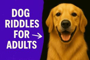 20 Dog Riddles for Adults That Will Make You Think, Laugh, and Cry